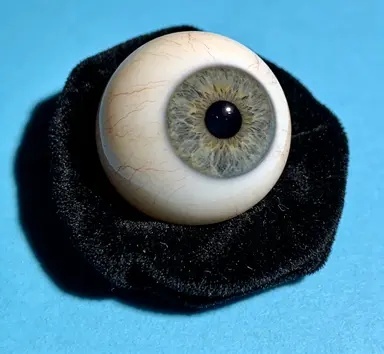 标准型义眼定制