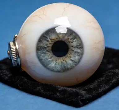 交付使用步骤图片