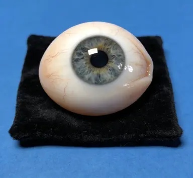 专业义眼定制师工作场景