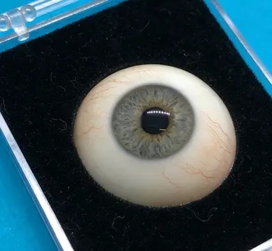 正目义眼专业义眼定制工作室